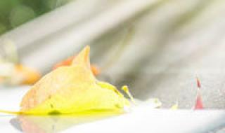 贝儿公主动画片全集