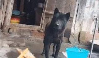 我不会认输 我不会认输