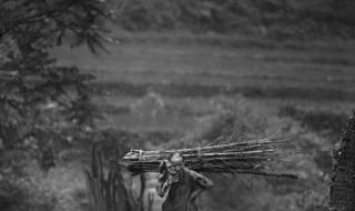 一念情深再念成殇