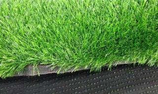 生产塑料草坪厂家 生产塑料草坪厂家