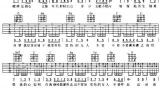 一个容易受伤的女人 一个容易受伤的女人