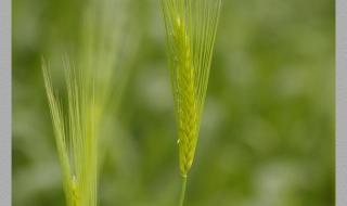 遗憾也美丽 遗憾也美丽