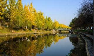 三峡水利电力学校 三峡水利电力学校