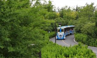 山东航空特价机票