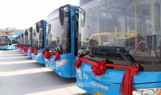 15岁少年坐公交旅行 15岁少年坐公交旅行