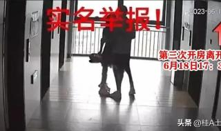 晓庄学院副书记 晓庄学院副书记