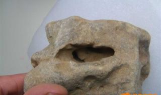 梦幻西游七窍玲珑阵