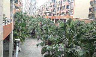 东莞海悦花园大酒店 东莞海悦花园大酒店