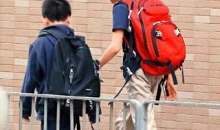 主持人王菲 主持人王菲