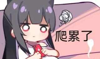 原神舅舅党 原神舅舅党