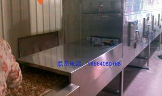 隧道式微波烘干机