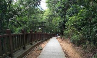 漳州龙文塔 漳州龙文塔