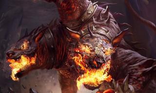 地狱犬已在9省份检出 地狱犬已在9省份检出