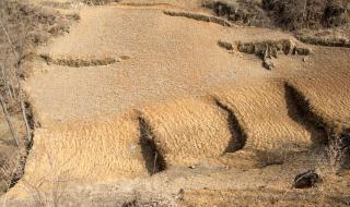 全国极端低温分布图 全国极端低温分布图