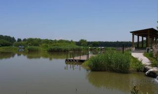 北京汉石桥湿地公园