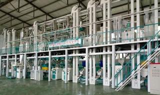 大米加工设备多少钱