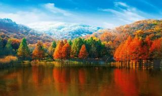 十一假期旅游攻略