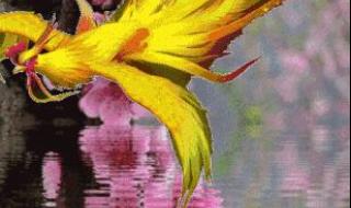 三月里的小雨原唱