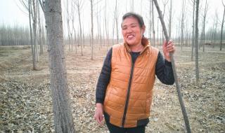 余秀华经典句子赏析