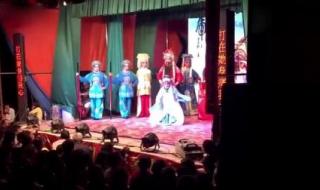 湖南益阳花鼓戏全集