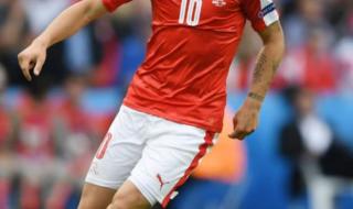 瑞士进过几次世界杯